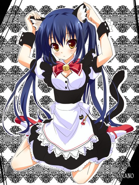 Anime picture 1127x1500 with k-on! kyoto animation nakano azusa tall image brown eyes animal ears blue hair tail maid