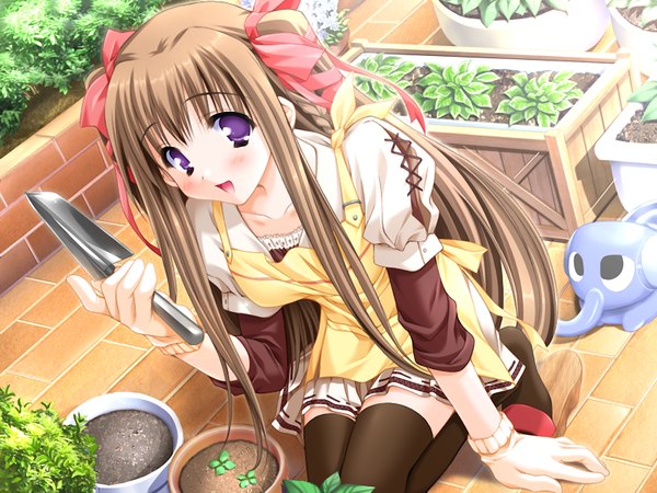 Anime picture 1024x768 with nursery rhyme tomoe yukina brown hair purple eyes game cg girl