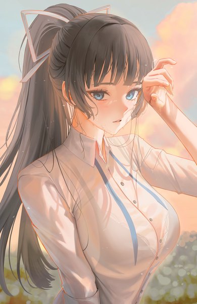 Anime picture 1600x2460 with original tokkihouse single long hair tall image looking at viewer fringe breasts blue eyes light erotic black hair large breasts sky cloud (clouds) upper body outdoors ponytail blunt bangs long sleeves parted lips