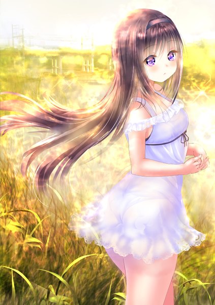 Anime picture 595x842 with original ponytail korosuke single long hair tall image looking at viewer blush purple eyes purple hair girl plant (plants) hairband grass sundress