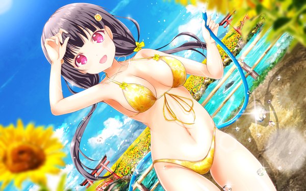 Anime picture 1920x1200 with girlfriend (kari) morizono mei masa (mirage77) single long hair looking at viewer blush fringe highres breasts open mouth light erotic black hair smile standing twintails holding sky cloud (clouds) outdoors