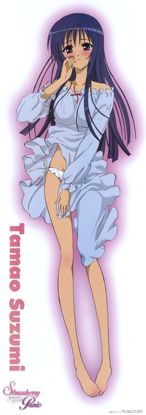 Anime picture 2140x6075 with strawberry panic madhouse suzumi tamao sakai kyuuta tall image highres light erotic underwear panties pajamas