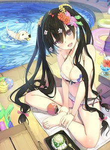 Anime-Bild 737x1000