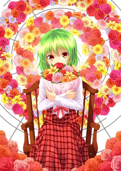 Anime picture 1240x1754 with touhou kazami yuuka shimada (simada bu) single tall image looking at viewer short hair red eyes sitting green hair hug girl flower (flowers) rose (roses) bouquet