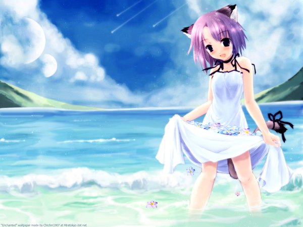 Anime picture 1280x960 with short hair animal ears sky purple hair cat ears wallpaper beach dress flower (flowers) ribbon (ribbons) white dress sea