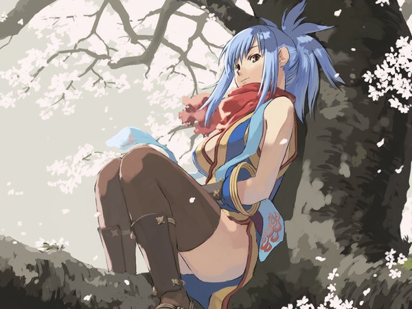 Anime picture 1024x768 with ragnarok online ninja (ragnarok online) fuchida kazuhiro single blue hair ponytail traditional clothes pink eyes cherry blossoms tree sitting against tree thighhighs plant (plants) tree (trees) scarf ninja