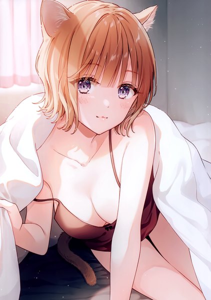 Anime picture 2111x2998 with original aoi yuki single tall image looking at viewer blush fringe highres short hair breasts light erotic large breasts sitting purple eyes animal ears indoors tail blunt bangs animal tail cat ears