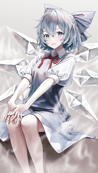 Anime picture 2146x3766 with touhou cirno torinari (dtvisu) single tall image looking at viewer fringe highres short hair blue eyes hair between eyes sitting light smile grey hair bare legs puffy sleeves half updo girl dress bow