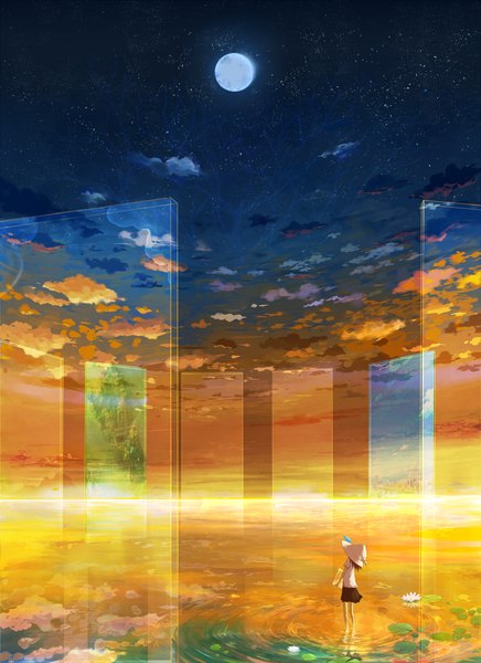 Anime picture 1200x1650 with original yatsude single tall image sky cloud (clouds) from behind night night sky evening reflection sunset landscape scenic girl skirt plant (plants) hat animal tree (trees)