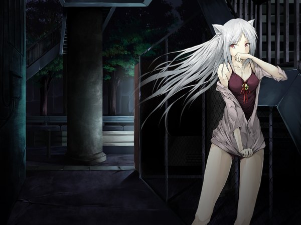 Anime picture 1654x1240 with original solru (tyappygain) single long hair looking at viewer light erotic bare shoulders brown eyes animal ears silver hair cat ears night open clothes bare legs cat girl covering street alley girl plant (plants)