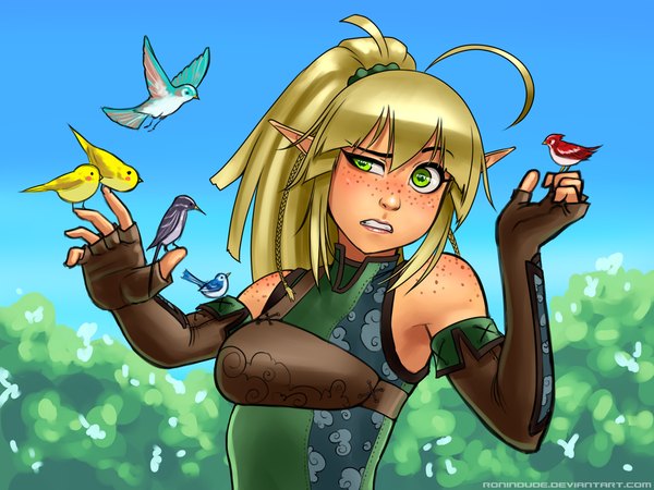 Anime picture 1024x768 with original ronin dude (ray cornwell) single long hair fringe breasts blonde hair green eyes ponytail pointy ears freckles bird on hand girl gloves animal elbow gloves bird (birds) clothes