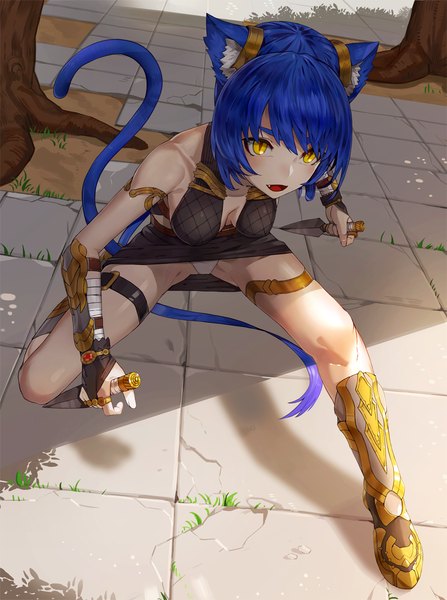 Anime picture 875x1175 with original kfr single tall image blush short hair open mouth light erotic holding animal ears yellow eyes blue hair looking away tail animal tail cat ears teeth cat tail fang (fangs) pantyshot