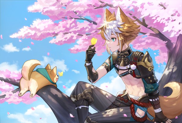 Anime picture 5000x3382 with genshin impact gorou (genshin impact) sonppo (pp song) single highres short hair blue eyes brown hair sitting animal ears absurdres sky cloud (clouds) outdoors white hair tail animal tail profile multicolored hair two-tone hair
