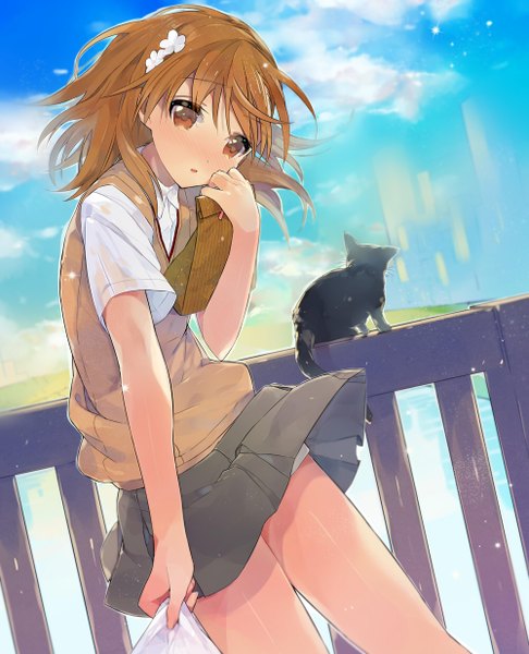 Anime picture 1000x1234 with to aru kagaku no railgun j.c. staff misaka mikoto misaka imouto 10032's cat tsunekawa niwasuke single tall image looking at viewer blush short hair brown hair brown eyes sky cloud (clouds) wind skirt lift girl skirt uniform hair ornament