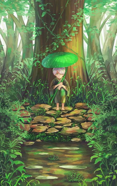 Anime picture 849x1339 with mushishi ginko 91 single tall image looking at viewer fringe short hair sitting holding green eyes silver hair hair over one eye wide sleeves sad boy plant (plants) tree (trees) leaf (leaves) forest