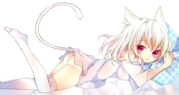 Anime picture 1000x534 with original chico152 single short hair light erotic wide image white background animal ears ass white hair pink eyes cat ears cat girl cat tail girl thighhighs shirt white thighhighs