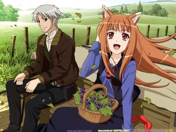 Anime picture 1600x1200 with spice and wolf horo craft lawrence long hair open mouth red eyes brown hair sitting animal ears wolf ears field girl boy basket