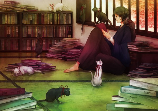 Anime picture 2546x1800 with original shoku niwatori highres sitting green eyes japanese clothes barefoot reading boy ribbon (ribbons) animal glasses book (books) cat shelf bookshelf