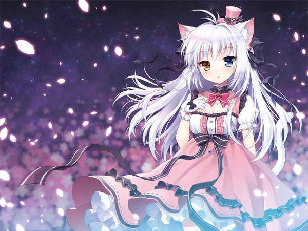 Anime picture 1280x960 with original aina rive mauve single long hair looking at viewer blush fringe blue eyes brown eyes animal ears yellow eyes ahoge white hair tail parted lips animal tail wind cat ears night