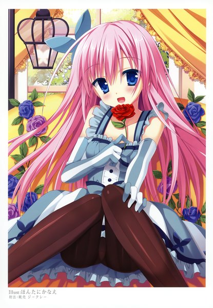 Anime picture 2406x3475 with original moribe (rabumanyo) single long hair tall image looking at viewer blush highres open mouth blue eyes light erotic pink hair scan pantyshot sitting girl dress gloves flower (flowers) pantyhose elbow gloves