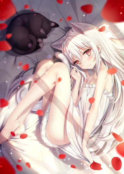 Anime picture 3000x4200 with original kyubi single long hair tall image looking at viewer blush fringe highres light erotic hair between eyes red eyes bare shoulders animal ears payot bent knee (knees) white hair tail lying animal tail