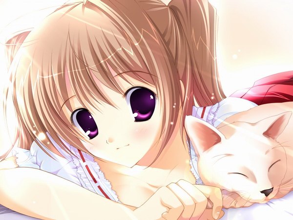 Anime picture 1024x768 with original mikeou single long hair looking at viewer blush brown hair purple eyes twintails lying light smile girl animal cat