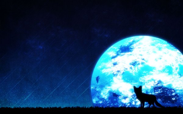 Anime picture 1920x1200 with original urara256 highres night night sky no people silhouette meteor rain animal moon star (stars) full moon