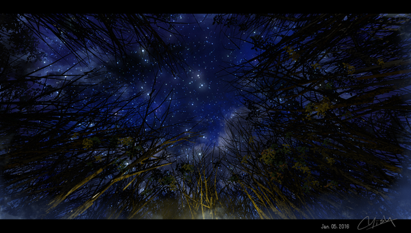 Anime picture 1920x1088 with original waisshu (sougyokyuu) highres wide image signed cloud (clouds) night from below night sky dated letterboxed no people landscape bare tree plant (plants) tree (trees) star (stars)