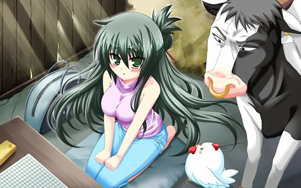 Аниме картинка 1024x640 с doinaka channel 5 oowada sachi длинные волосы румянец чёрные волосы широкое изображение зелёные глаза game cg девушка