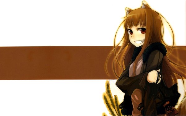 Anime picture 1680x1050 with spice and wolf horo single long hair smile red eyes brown hair wide image animal ears girl