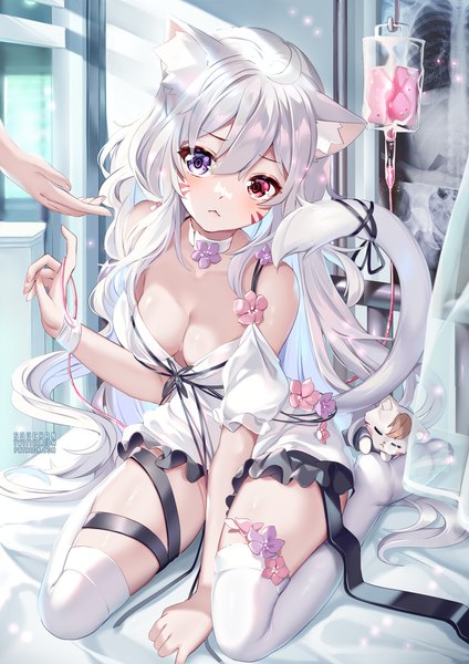 Anime picture 884x1250 with virtual youtuber indie virtual youtuber shyrei faolan squchan long hair tall image looking at viewer blush fringe breasts light erotic hair between eyes red eyes large breasts sitting purple eyes signed animal ears cleavage full body