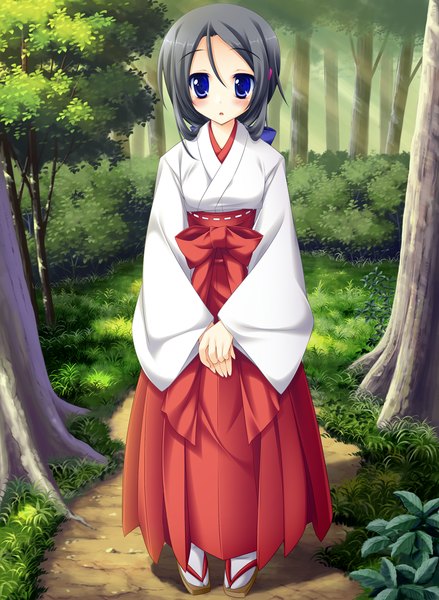 Anime picture 1024x1400 with koiiro soramoyou (game) machiko miki lucie single long hair tall image blush blue eyes black hair game cg miko girl