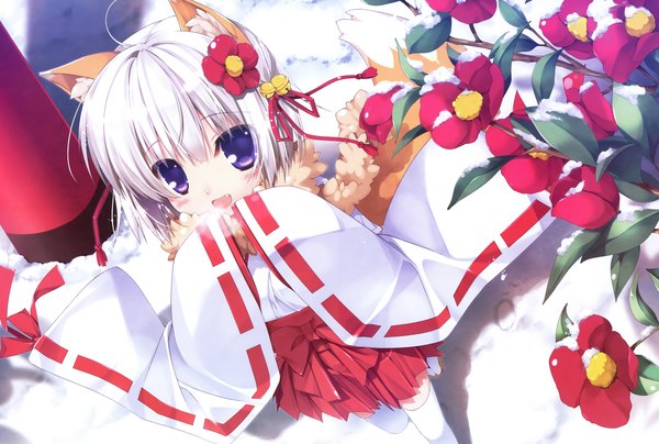 Anime picture 2966x2000 with original dengeki moeou chikotam single blush highres short hair open mouth blue eyes white hair japanese clothes hair flower from above scan wide sleeves teeth fang (fangs) fox ears fox girl winter