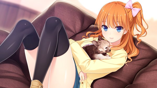 Anime picture 1280x720 with gin'iro haruka aoi hinata (gin'iro haruka) single long hair looking at viewer blue eyes wide image game cg orange hair girl thighhighs bow black thighhighs hair bow animal couch dog
