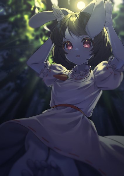 Anime picture 1448x2048 with touhou inaba tewi wanko sora single tall image short hair black hair red eyes animal ears outdoors arms up from below bunny ears bunny pose girl dress plant (plants) tree (trees) moon full moon