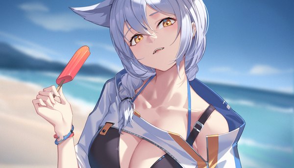 Anime picture 3000x1717 with arknights provence (arknights) provence (casual vacation) (arknights) nian (zhanian) single long hair looking at viewer fringe highres open mouth light erotic hair between eyes wide image holding animal ears yellow eyes sky silver hair upper body outdoors