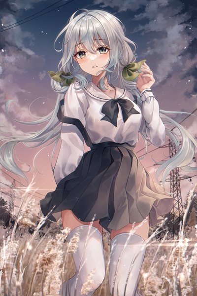 Anime picture 2008x3009 with original pippin sol single long hair tall image looking at viewer blush fringe highres hair between eyes standing twintails cloud (clouds) outdoors long sleeves parted lips pleated skirt grey hair night mole