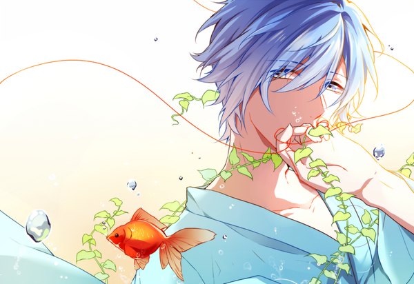 Anime picture 1000x688 with vocaloid kaito (vocaloid) mibu (1064493753) single fringe short hair blue eyes hair between eyes blue hair upper body traditional clothes japanese clothes covered mouth boy animal fish (fishes) yukata thread red thread goldfish