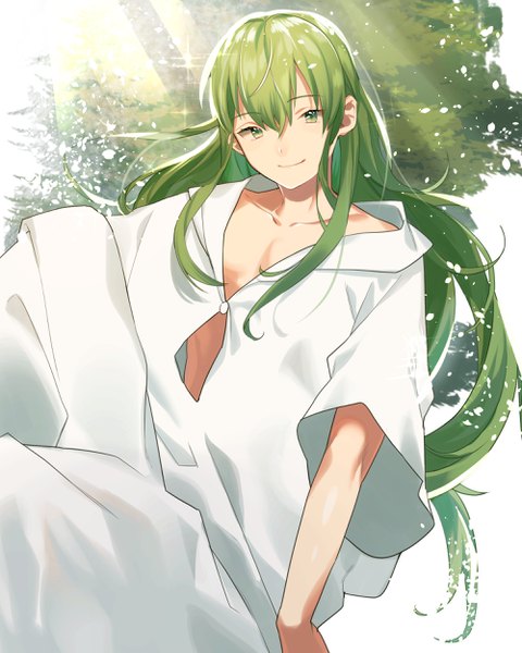 Anime picture 2000x2500 with fate (series) fate/strange fake enkidu (fate) mihatarou single long hair tall image looking at viewer fringe highres hair between eyes green eyes green hair light smile sparkle androgynous boy