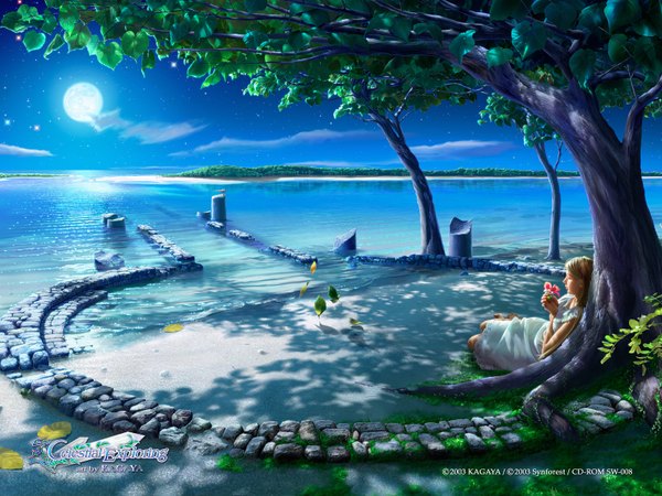 Anime picture 1600x1200 with kagaya realistic scenic tagme celestial exploring