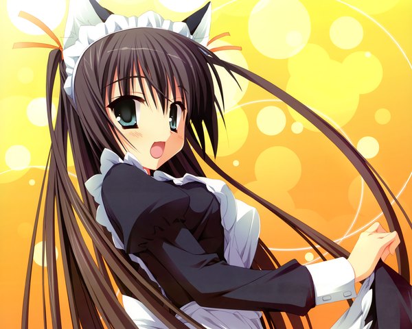 Anime picture 2500x2000 with natsuzora kanata kousaka chihaya kobuichi long hair highres open mouth blue eyes black hair animal ears looking back cat ears maid girl apron