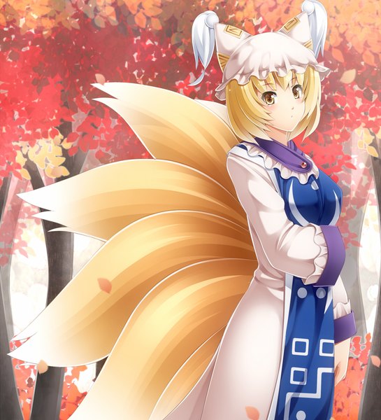 Anime picture 1000x1100 with touhou yakumo ran komimiyako tall image short hair blonde hair fox ears fox tail fox girl girl plant (plants) tree (trees) leaf (leaves) bonnet
