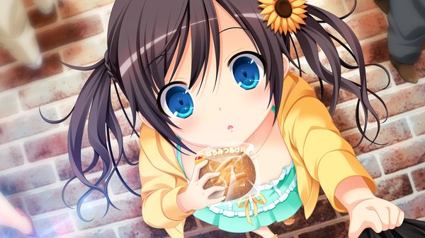Anime picture 2560x1440 with gensou no idea makita maki long hair looking at viewer highres blue eyes black hair wide image twintails game cg hair flower loli girl dress hair ornament
