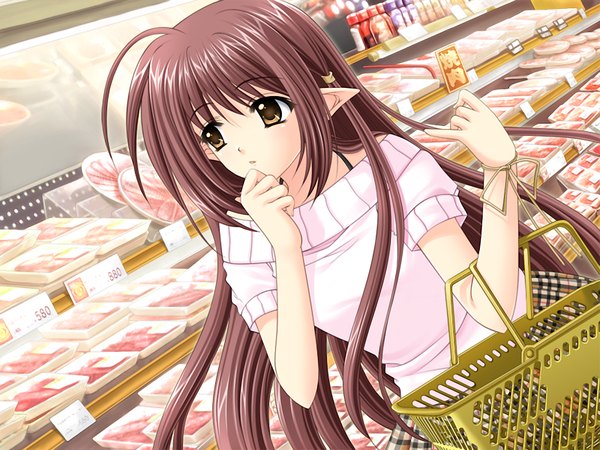 Anime picture 1024x768 with shuffle! lisianthus single long hair brown hair brown eyes game cg pointy ears shopping girl
