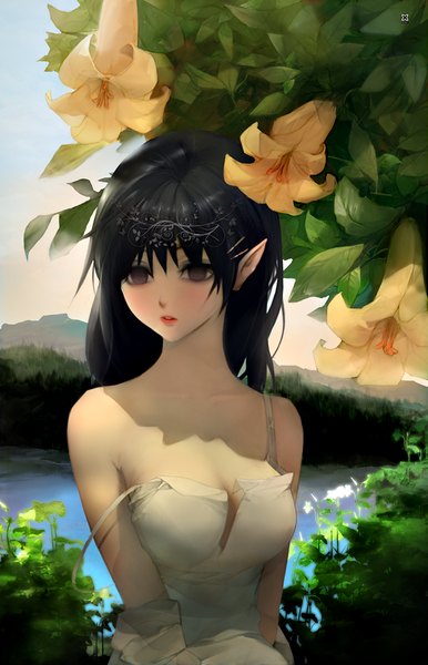 Anime picture 729x1132 with plusnine single long hair tall image blush breasts open mouth light erotic black hair large breasts bare shoulders looking away sky cleavage pointy ears black eyes teeth mountain girl dress