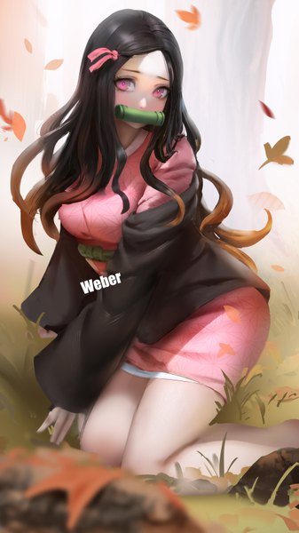 Anime picture 3710x6595 with kimetsu no yaiba ufotable kamado nezuko weber single long hair tall image looking at viewer blush highres black hair holding signed absurdres bent knee (knees) traditional clothes head tilt japanese clothes pink eyes blurry