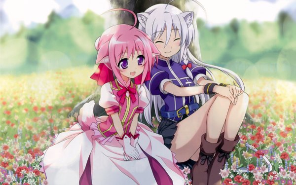 Anime-Bild 2560x1600 mit dog days millhiore f biscotti leonmitchelli galette des rois long hair blush highres open mouth smile purple eyes animal ears pink hair ahoge outdoors white hair tail braid (braids) eyes closed animal tail cat ears cat tail