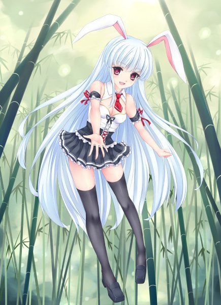 Anime picture 870x1200 with touhou reisen udongein inaba fred0092 single long hair tall image looking at viewer blush open mouth light erotic bare shoulders animal ears white hair bunny ears girl thighhighs dress black thighhighs plant (plants) bamboo