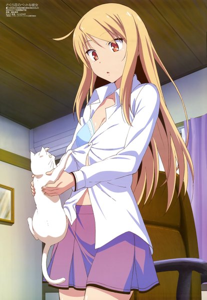 Anime picture 4089x5928 with sakura-sou no pet na kanojo j.c. staff megami magazine shiina mashiro fujii masahiro long hair tall image highres light erotic blonde hair red eyes absurdres official art girl skirt shirt cat