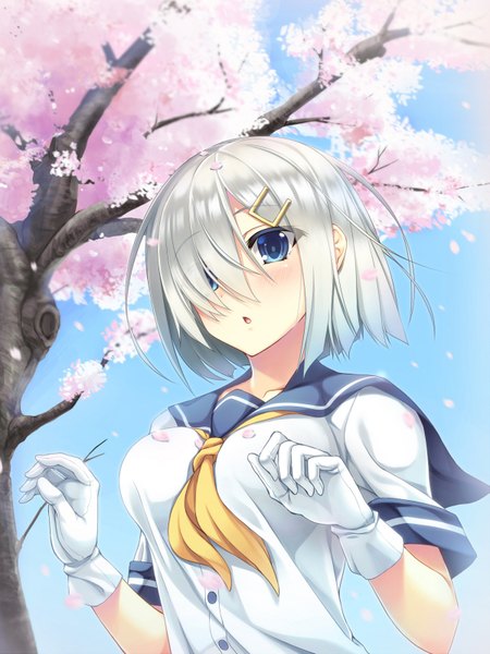 Anime picture 1200x1600 with kantai collection hamakaze destroyer moeki yuuta single tall image looking at viewer blush fringe short hair breasts blue eyes silver hair wind hair over one eye cherry blossoms girl gloves plant (plants) petals tree (trees)
